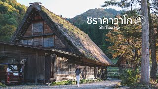 🇯🇵เที่ยวชิราคาวาโกะ ในฤดูใบไม้เปลี่ยนสี เปิดบ้านนอนโฮมสเตย์300ปี ญี่ปุ่น | Shirakawa-go, Japan