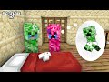 Creeper Life - Funny Monster School Minecraft Animation (HAHA ANIMATION, BIG SCHOOL)