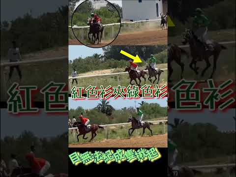 連環墮馬騎師飛彈落地。目無法紀話夾就夾成隻揪起。上場古惑馬今場有D計.