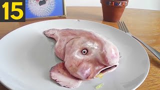 15 Unusual Looking Ocean Creatures