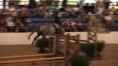 Video of MY PRIDE Z ridden by JORDAN TOERING from ...