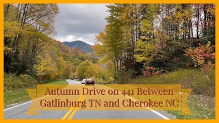 A Fall Ride Through The Smoky Mountains. #greatsmokymountains #autumn #northcarolina #tennessee by The Furrminator 368 views 2 years ago 16 minutes