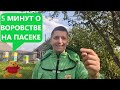 3 СОВЕТА ОТ ВОРОВСТВА  НА ПАСЕКЕ 🔐🐝 | Что происходит с пчёлами во время последней откачки мёда