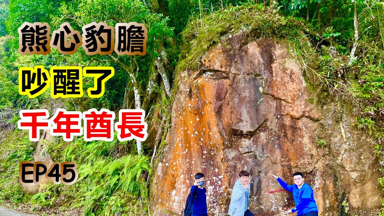 【三峽熊空山】長眠於此地的千年酋長｜三峽十大名山之一｜濕濕長長的條狀生物｜與勇士們賞美景暢山林｜路徑續往加九嶺竹坑山｜所屬中央山脈山系｜新北一日遊『郊山爬爬造EP45』