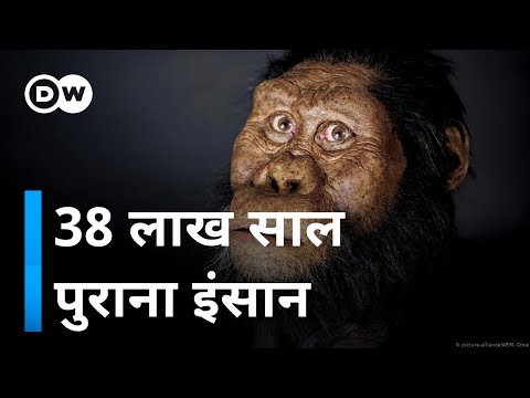 वीडियो: सबसे पुराने ज्ञात जीवाश्म कहाँ पाए गए थे?