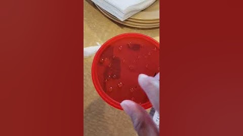 Running errands part 2