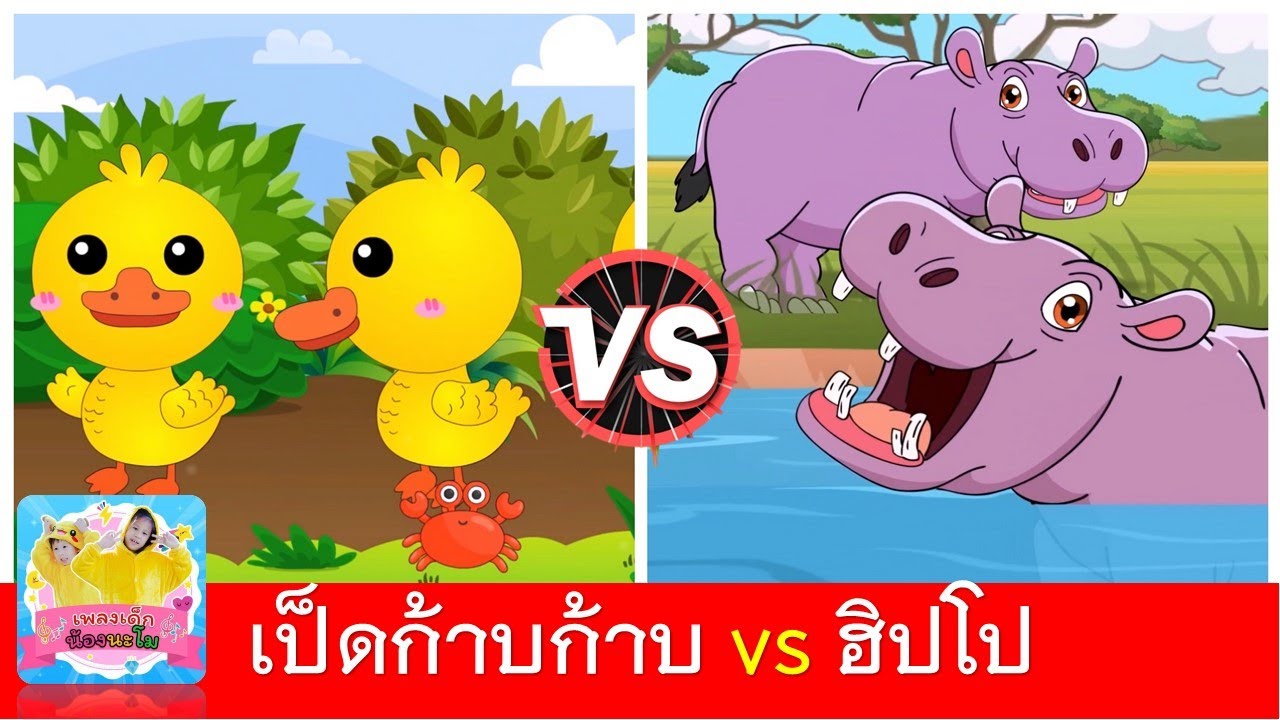 เป็ดก้าบก้าบ vs ฮิปโปตัวใหญ่ๆ