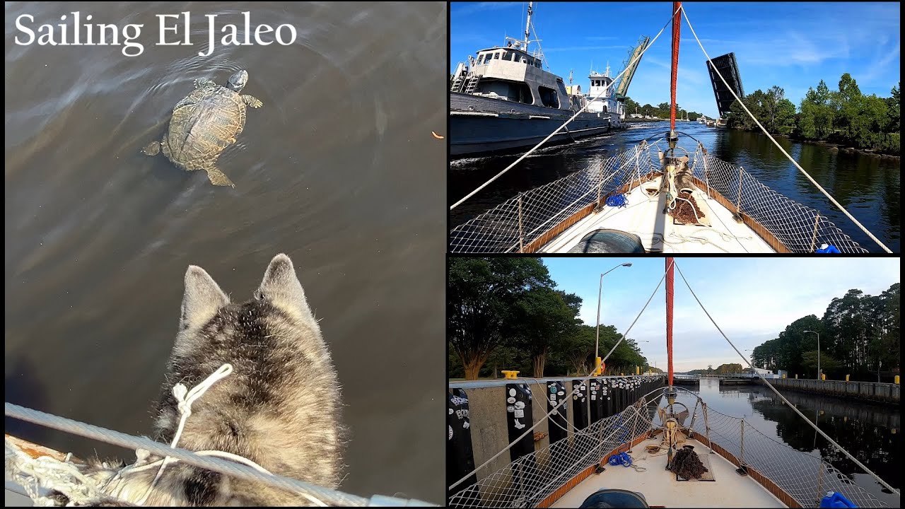 S05E27 - Neptune Discovers Turtles as We Travel thru Norfolk to Hampton, VA