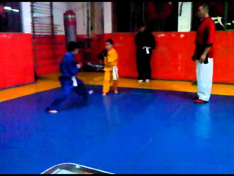 WUSHU MICHOACAN: COLEGIO INTEGRAL DE ARTES MARCIAL...