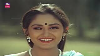 Puli Bebbuli Telugu Full Length Movie | Chiranjeevi | Krishnnamraju | @manacinemalu