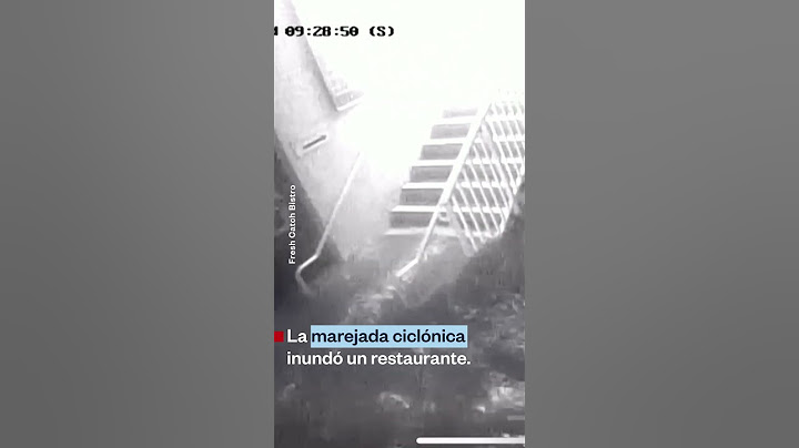 📍El huracán Milton causó destrozos a su paso por la costa oeste de Florida | Noticias Telemundo