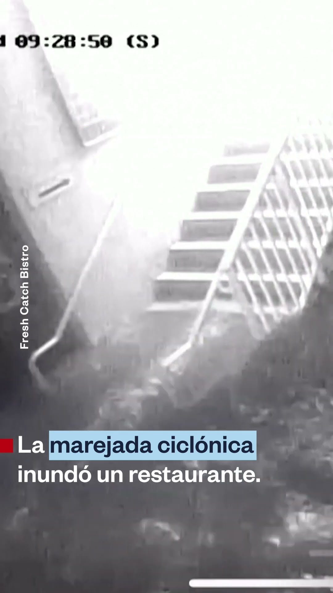 ?El huracán Milton causó destrozos a su paso por la costa oeste de Florida | Noticias Telemundo