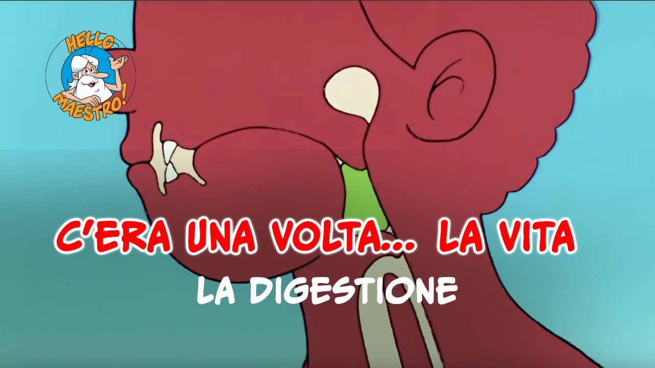 Siamo fatti così... la vita 🌱- La digestione