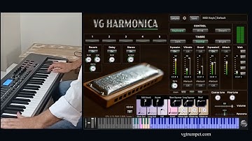 VG Harmonica Virtual Instrument. Works with MIDI, wind, breath controllers. VST, AU plugin