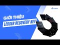 Giới thiệu Ledger Recovery Key (Kèm với Ledger Flex, Ledger Stax)