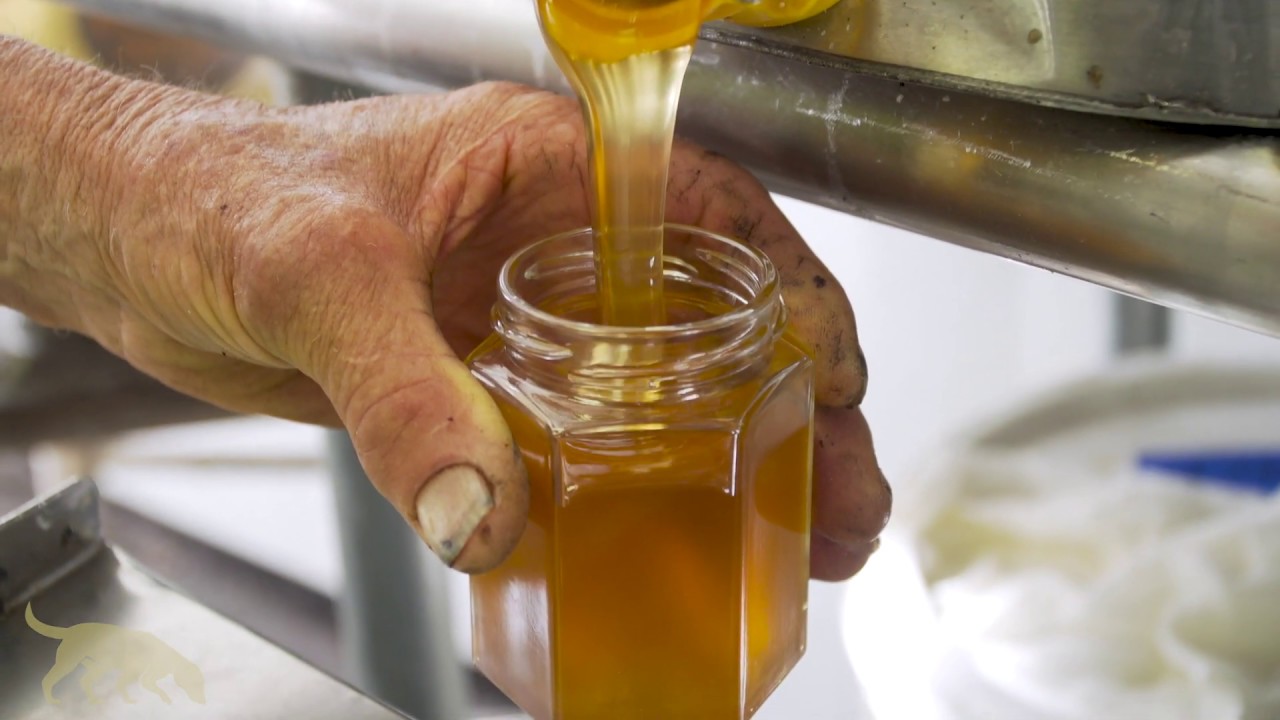 Marshalls Farm Natural Honey