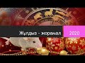 2020 жылға арналған қысқаша жұлдыз-жорамал