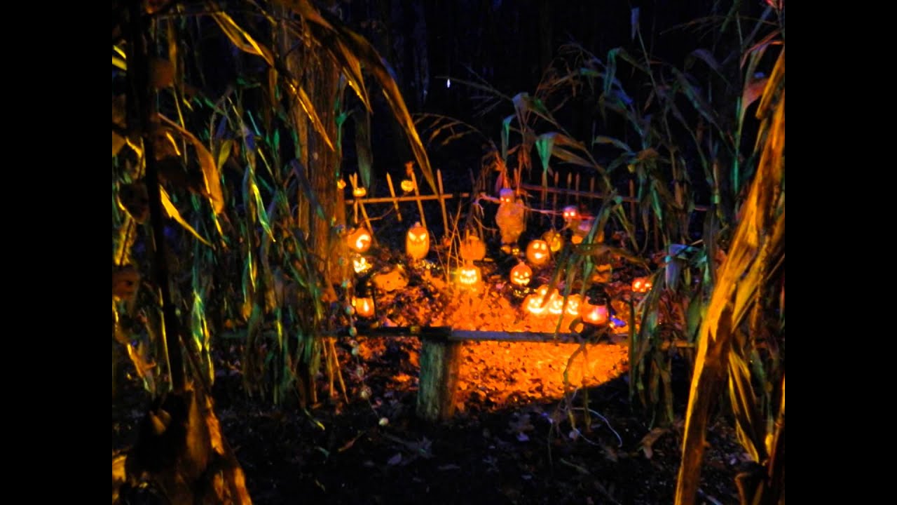 Halloween Decorations For Your House Halloween Decorations For Your House