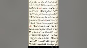 ماهر المعيقلي سورة الكهف مكتوبة صفحة 300 مصحف المدينة المنورة جودة عالية