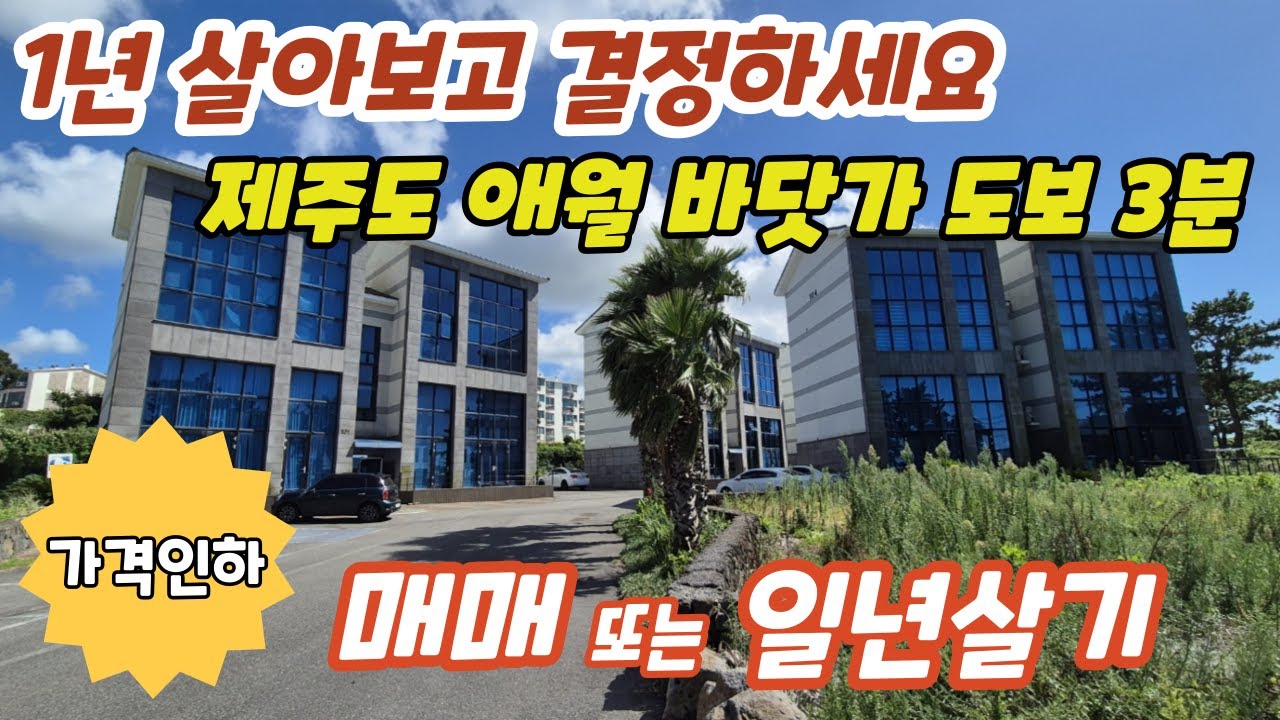 [가격인하] 걸어서 3분이면 애월바닷가, 애월 고내리 스타벅스 뒤 높은층고의 바다조망 풀옵션 복층빌라 2억대 매매 또는 일년살기 년세임대, 매매와 년세 가격인하