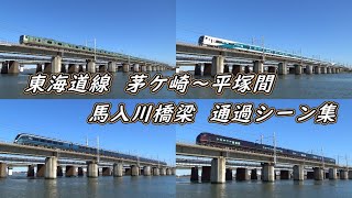 JR東日本  東海道線  茅ケ崎～平塚間  馬入川橋梁 E257系、E655系他 通過シーン集