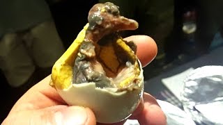 Eating Balut For The First Time!