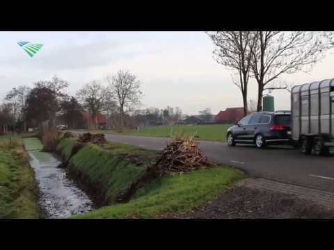 Video: Knoflookverzorging is niet bijzonder moeilijk