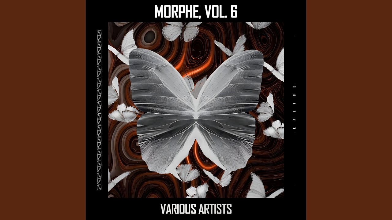 Obejrzyj Brazility w YouTube Obejrzyj Brazility w YouTube