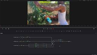 Bullet Time Effect In Davinci Resolve Fusion
