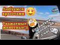 Видеоблог #76 Через красивые холмы к дому! Вечерний Волгоград!