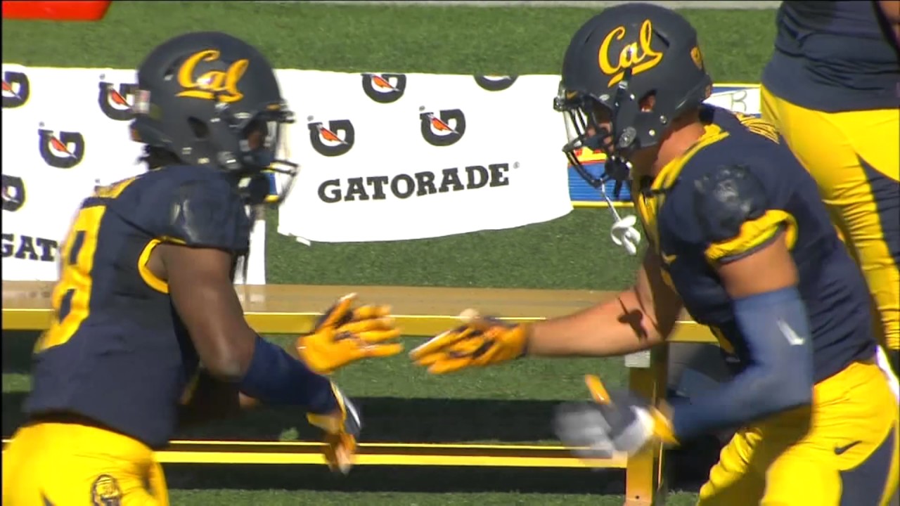 Cal Football: Chad Hansen Highlights