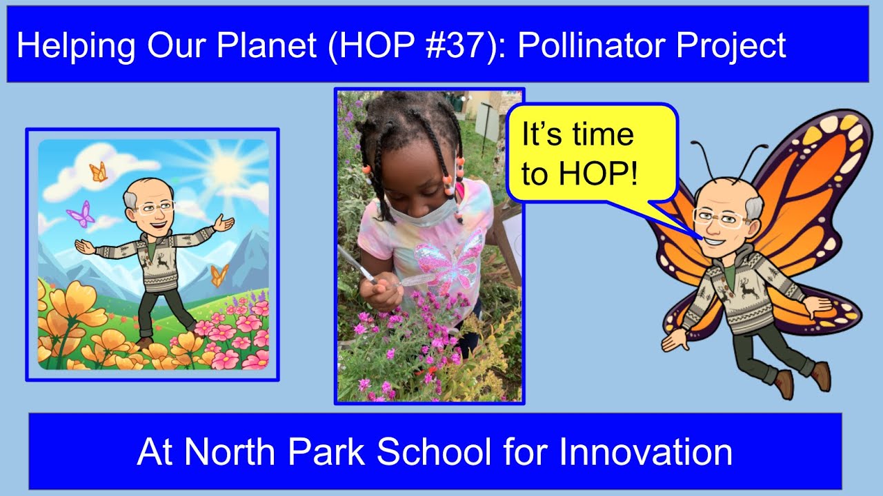 Helping Our Planet (HOP #37): Pollinator Project