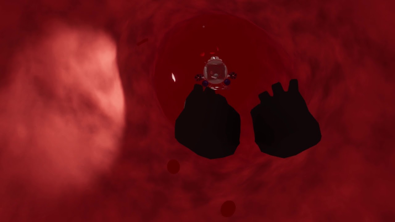 A VR journey through the vascular system (video thumbnail)