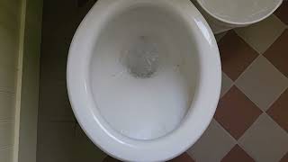 1935 Standard Modernus toilet on a Low Tank 2