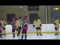 Women's ACHA D1 Hockey Hosts Maryville University