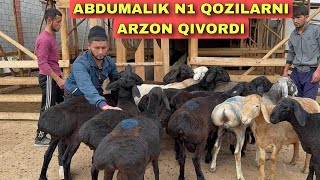 2500 DAN SIMJUN QO‘ZILAR ABDUMALIK YORVORDI