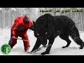 اشرس واقوى واخطر أنواع كلاب في العالم، إذا قابلتها عليك الهروب فورا