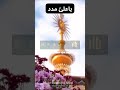 #13rajab #shia #shiaislam #yaali #yaalimadad #yahussain #azadari #karbala #najaf #onetenproperties