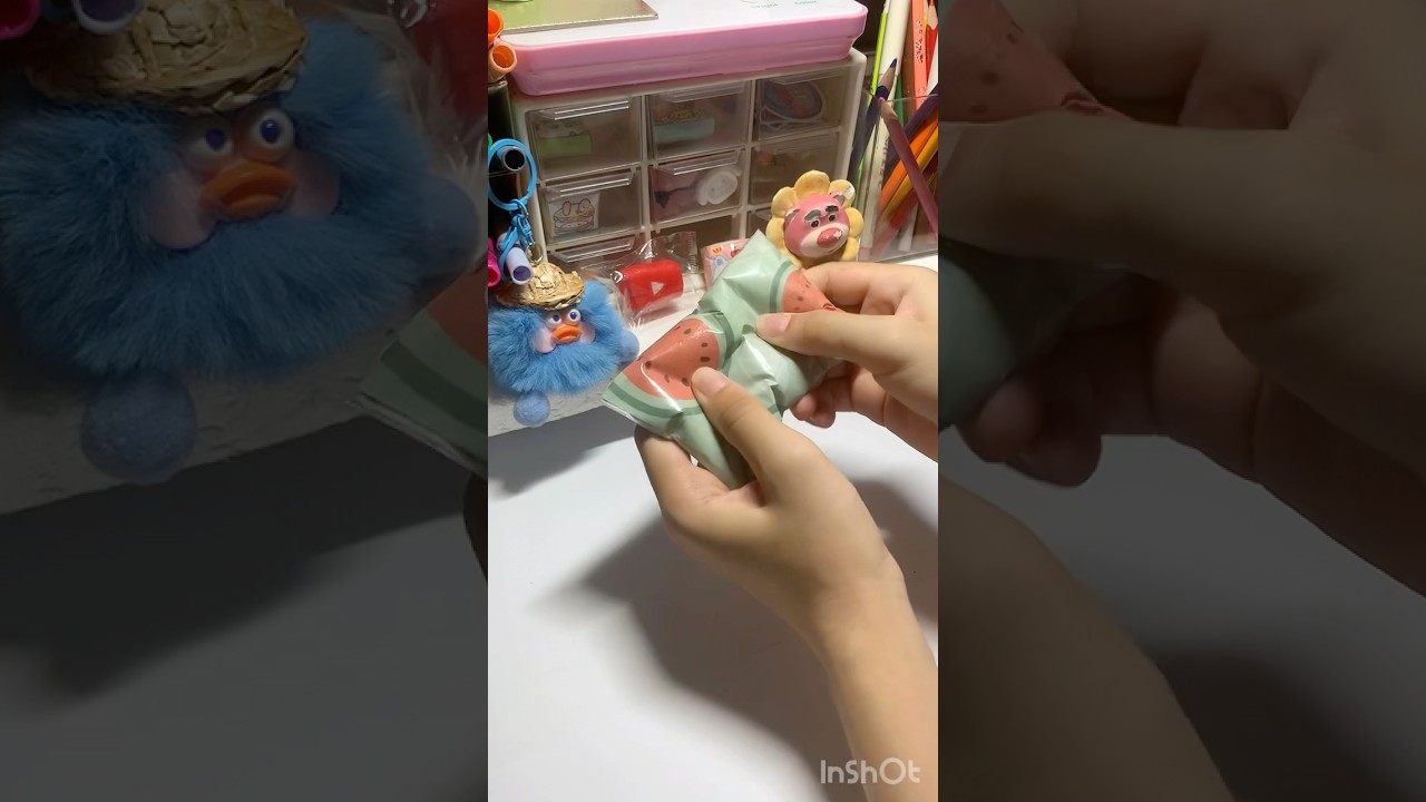 🍉watermelon squishy 🌷❤️😍