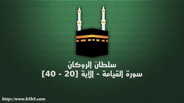 سلطان الروكان - سورة القيامة - الآية [20 - 40]