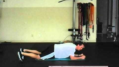 FreeFitnessVideos.com:  Plank with Thoracic Spine Rotation