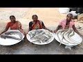 சுவையான 4 வகை கடல் மீன் குழம்பு விருந்து 50 நபருக்கு / Sea Fish Curry / Kadal Meen Kulambu.