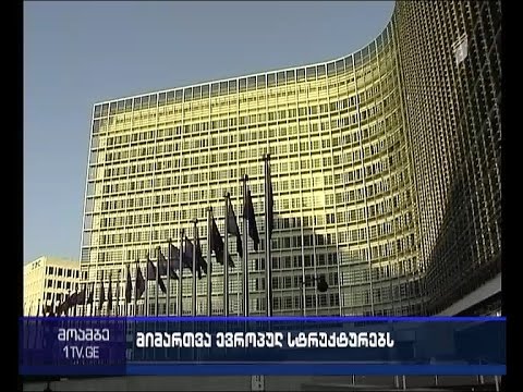 ვიზა-ლიბერალიზაციის პერსპექტივა - რა მიმართვას ამზადებს საქართველოს პარლამენტი