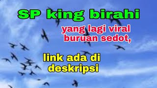 SP KING BIRAHI, VIRAL BURUAN SEDOT