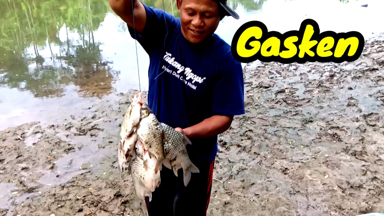 🔴Spot viral  Kumat lagi ‼️ umpan pelet jowo beraksi lagi