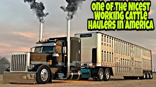 How To Be A Cattle Hauler, Lesage Trucking Gives Us A Inside Tour Of His Custom Cattle Trailer