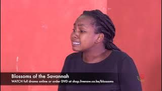 Blossoms of the Savannah - Watch full drama in the link below