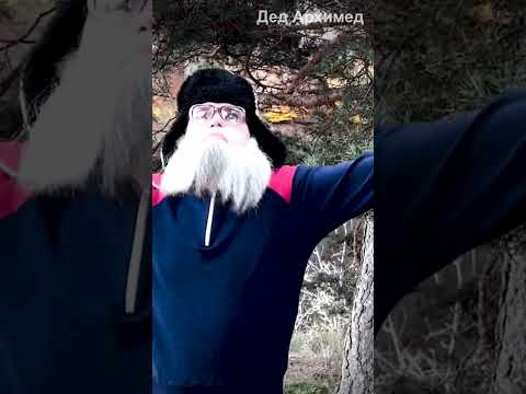 Shorts деда Архимеда о победе Трампа на выборах