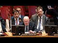 Выступление Постоянного представителя В.А.Небензи на заседании СБ ООН по ситуации на Украине