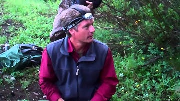 Mist Netting Bats With Burton Stoner